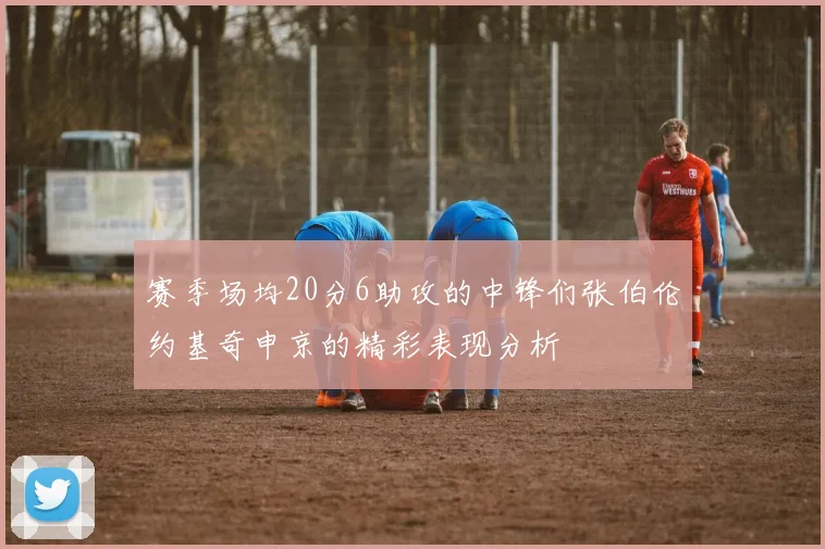 赛季场均20分6助攻的中锋们张伯伦约基奇申京的精彩表现分析