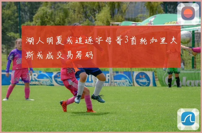 湖人明夏或追逐字母哥3首轮加里夫斯或成交易筹码