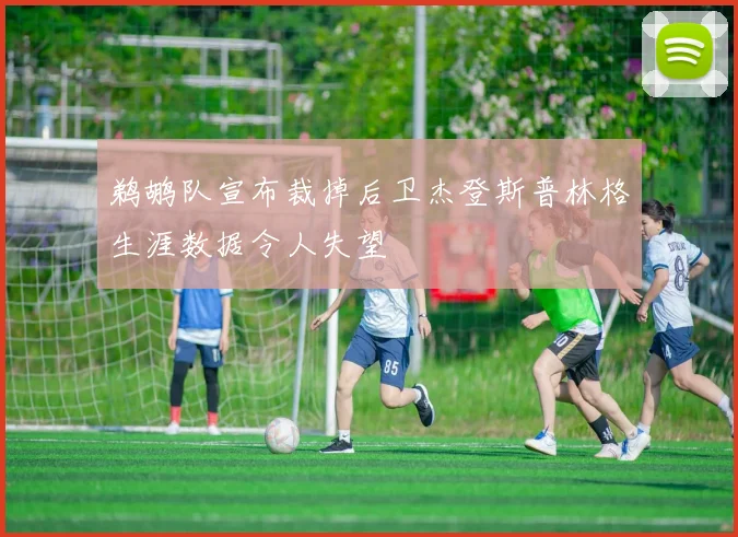 鹈鹕队宣布裁掉后卫杰登斯普林格生涯数据令人失望