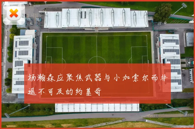 杨瀚森应聚焦武器与小加索尔而非遥不可及的约基奇