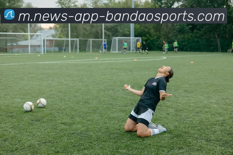 半岛体育平台生态图