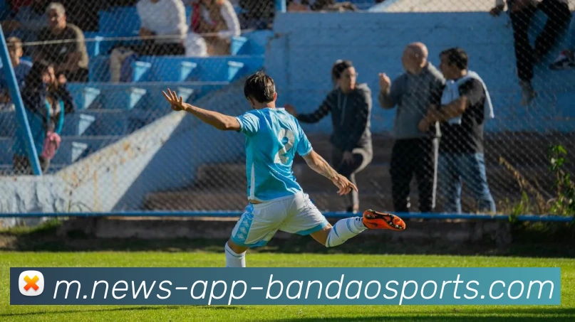 半岛体育APP 封面图